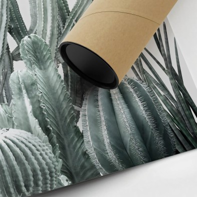 Cactarium 2 sheet - washable suitable interior and exterior
