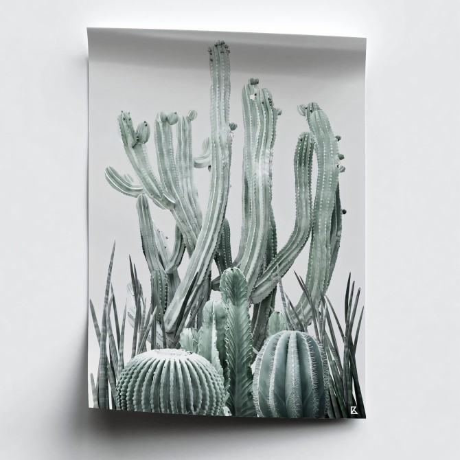 Cactarium 2 sheet - washable suitable interior and exterior