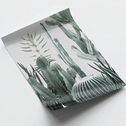 Cactarium 2 sheet - washable suitable interior and exterior