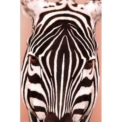Póster decorativo de animal fashion. Modelo Cebra