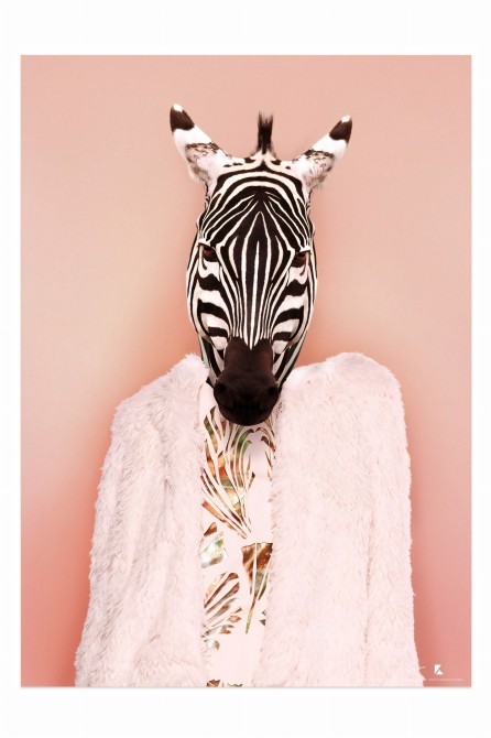 Zebra Model