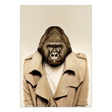 Póster decorativo de animal fashion. Modelo Gorila