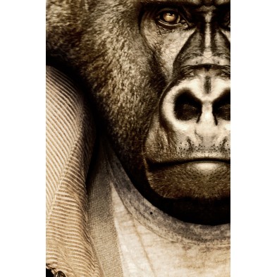 Poster of a fashion gorilla|Lokoloko