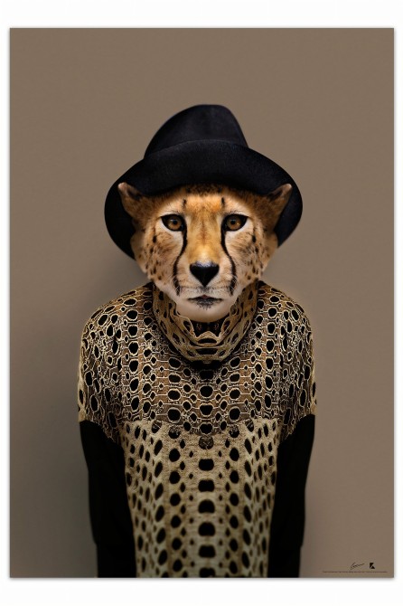 Cheetah Model
