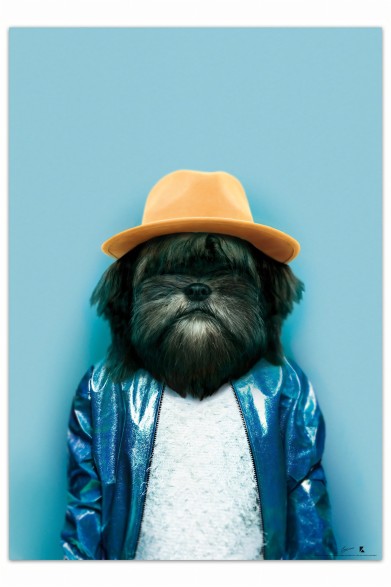 Póster decorativo de animal fashion. Modelo Perro
