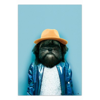 Poster decorative fashion animal. Dog model
