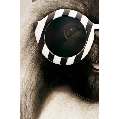 Póster de una elegante perrita|Lokoloko
