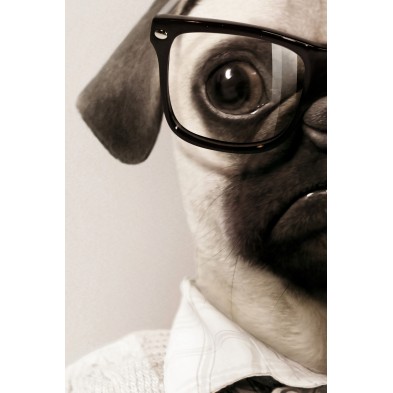Light Pug Model