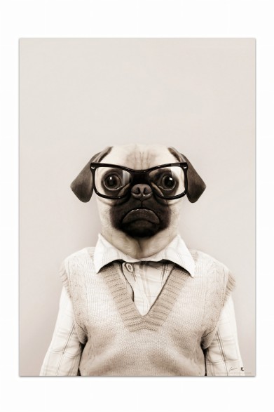 Póster decorativo de animal fashion. Modelo Pug|Lokoloko