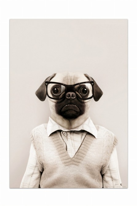 Light Pug Model