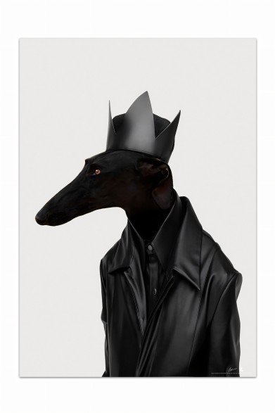 Póster de perro, modelo galgo negro rockero. Retrato de animal humanizado.