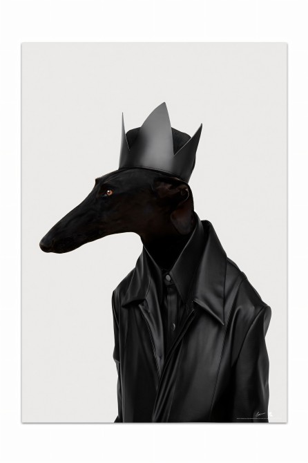 Póster de perro, modelo galgo negro rockero. Retrato de animal humanizado.