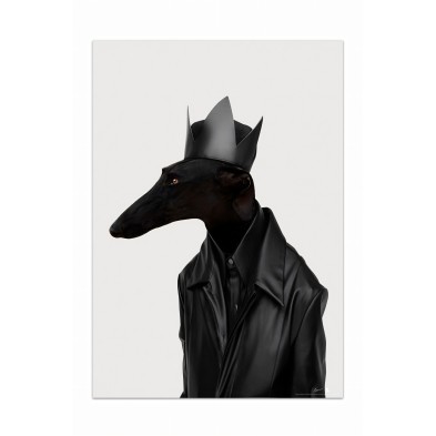 Póster de perro, modelo galgo negro rockero. Retrato de animal humanizado.