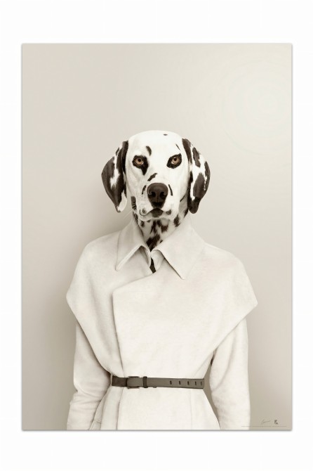 Decorative poster of a elegant dalmatian god