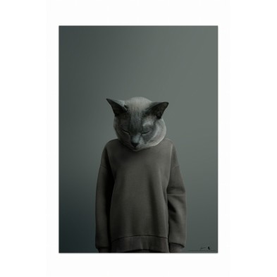 Lámina decorativa de un gato chartreux
