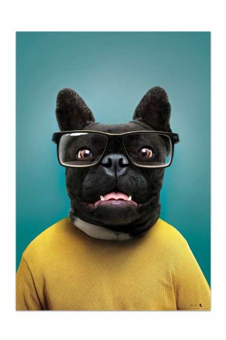 Cool little dog decorative poster portrait