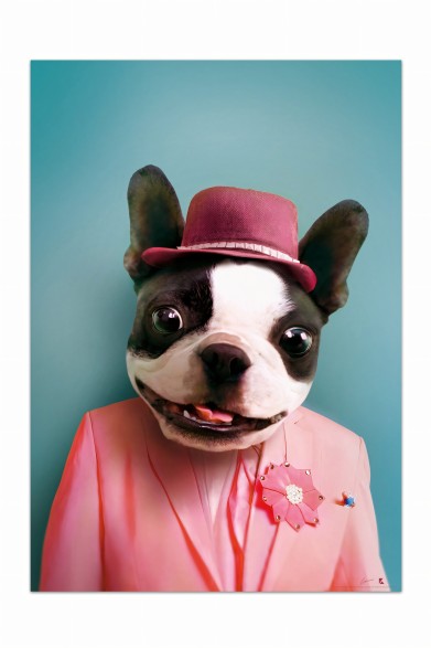 Cool dog decorative poster