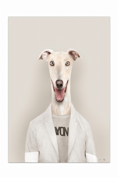 Greyhound portrait's poster.
