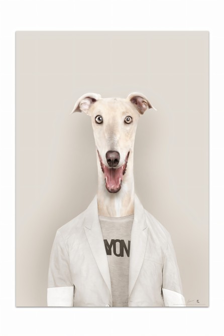 Póster del retrato de un galgo.
