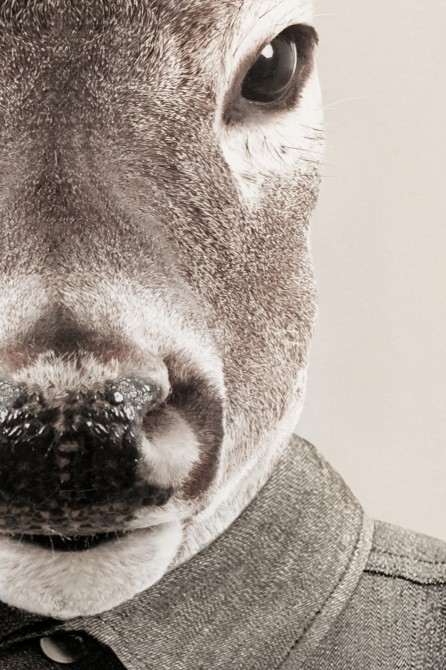 Photographic portrait of a human deer.