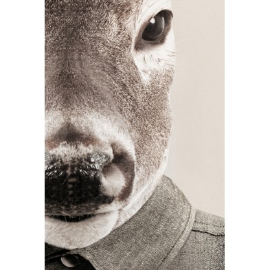 Retrato fotográfico de un ciervo humanizado.