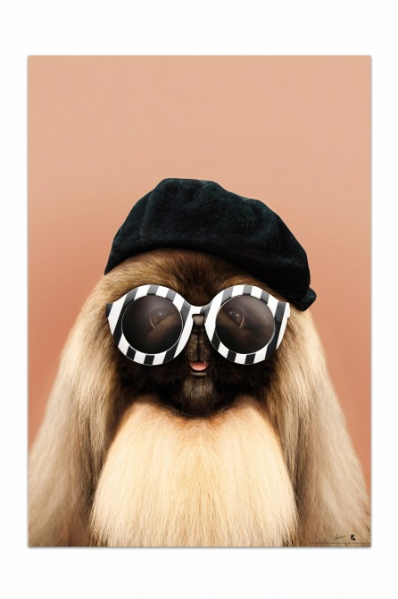 Póster de una elegante perrita|Lokoloko