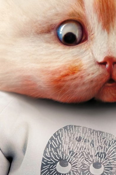 Póster de gato infantil. Modelo Gatito 2|Lokoloko