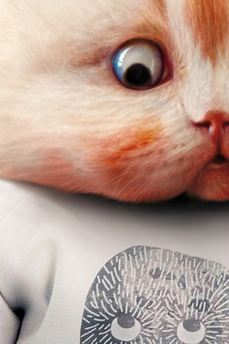 Póster de gato infantil. Modelo Gatito 2|Lokoloko