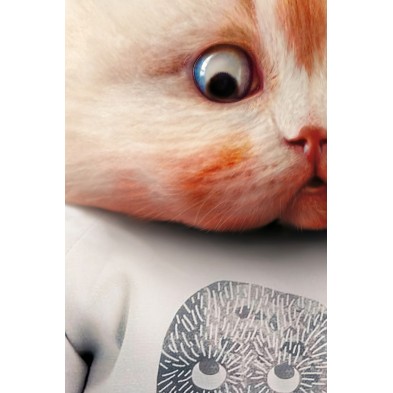 Kitten 2 Poster