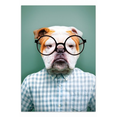 Bulldog Model