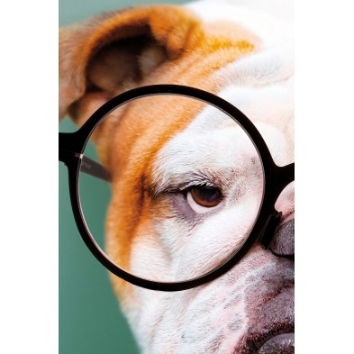 Bulldog Model