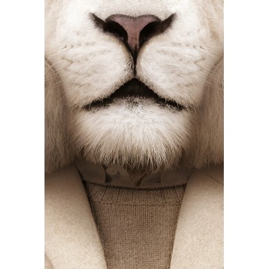 Albino Lion Model