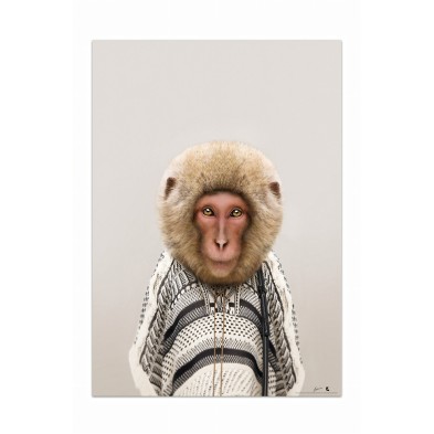Monkey Model