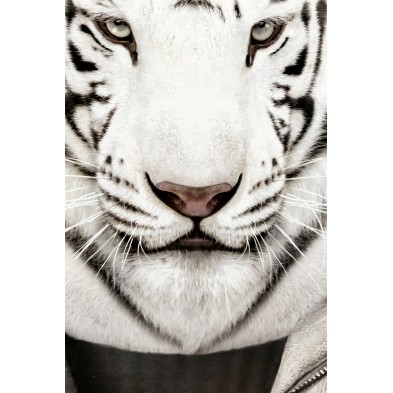 Poster decorative fashion animal. Albino Tiger Model | Lokoloko