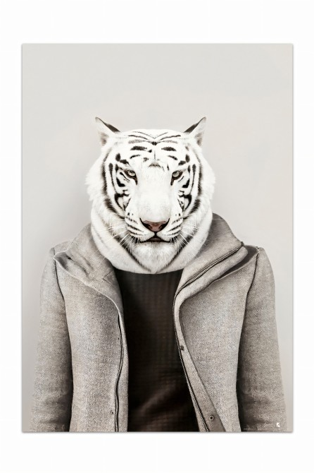 Poster decorative fashion animal. Albino Tiger Model | Lokoloko