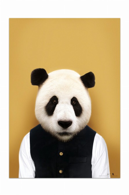 Póster decorativo de animal fashion. Modelo Oso Panda|Lokoloko