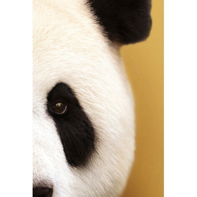 Póster decorativo de animal fashion. Modelo Oso Panda|Lokoloko