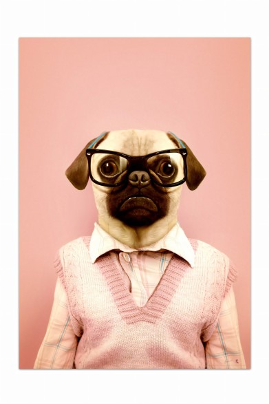 Póster decorativo de animal fashion. Modelo Pug|Lokoloko