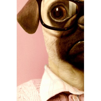 Póster decorativo de animal fashion. Modelo Pug|Lokoloko