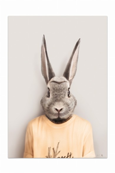 Poster decorative fashion animal. Rabbit model | Lokoloko