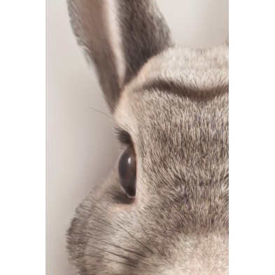 Póster decorativo de animal fashion. Modelo Conejo|Lokoloko