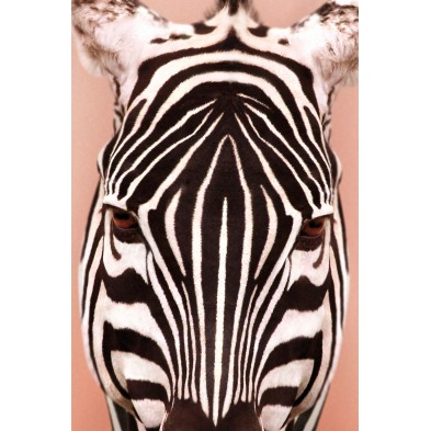 Póster decorativo de animal fashion. Modelo Cebra