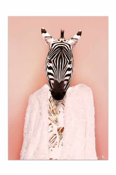 Zebra Model