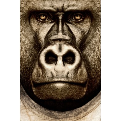 Poster of a fashion gorilla|Lokoloko