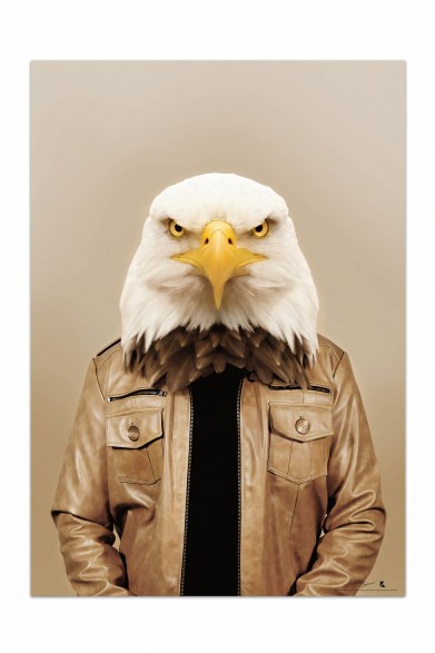 Póster decorativo de animal fashion. Modelo Águila