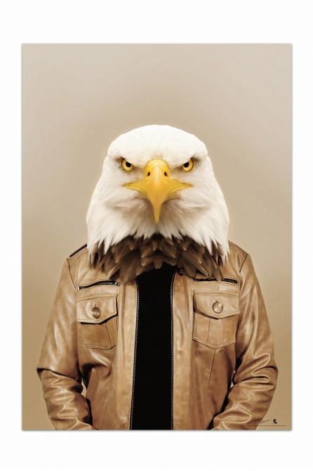Póster decorativo de animal fashion. Modelo Águila