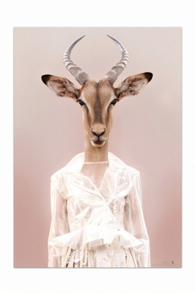 Póster decorativo de animal fashion. Modelo Gacela
