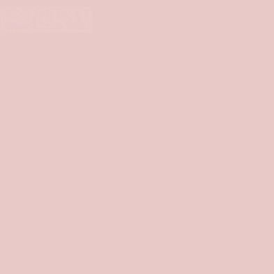 Vinilo adhesivo Color Rosa cuarzo para forrar paredes y muebles de cocina y baños, ignífugo, lavable, antibacterias, lokoloko